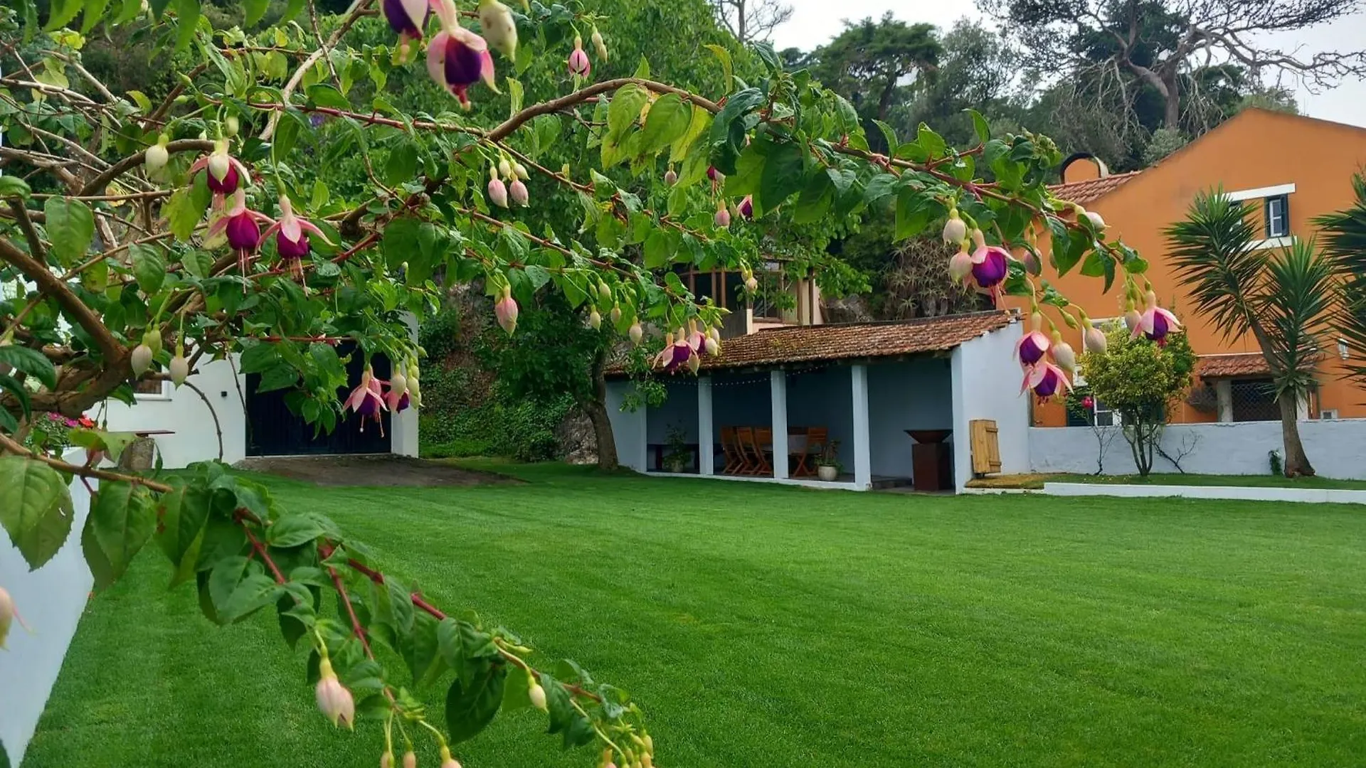 Villa In Sintra - Casa Da Penha Ferrim